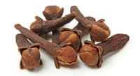 Clove Flower