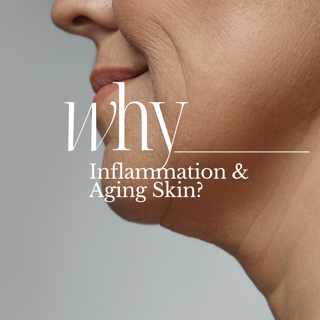 Inflammation & Aging Skin: The Jamu-Inspired Way to Soothe, Strengthen, and Restore