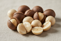 Candlenut